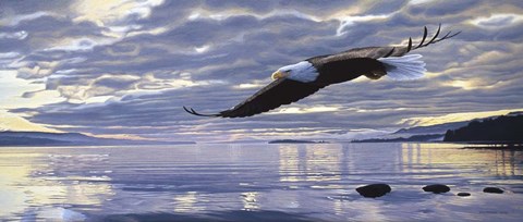 Framed Dawn Flight Print