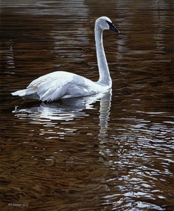 Framed Evening Amber Print