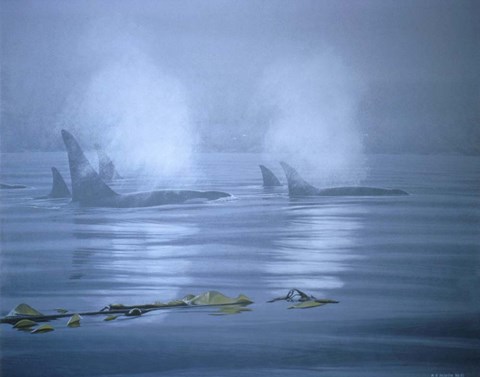 Framed Lifting Fog Print