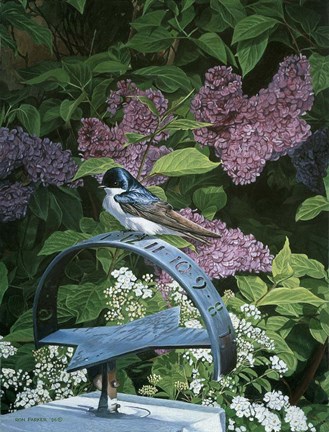 Framed Sundial Print