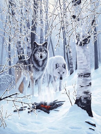 Framed Fire And Ice Print