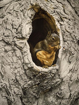 Framed Raiding The Cache Print