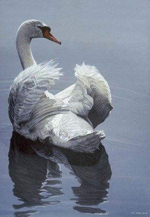 Framed Calm Water Print