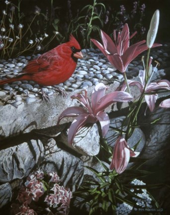 Framed Garden Wall Print