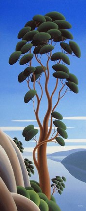 Framed Cliff Hanger Print