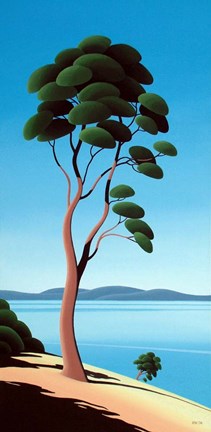 Framed Island Arbutus Print