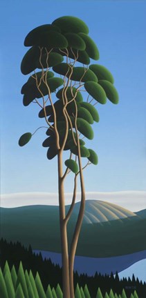 Framed Above Finlayson Arm Print