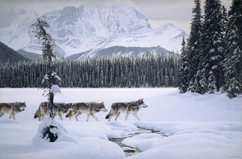 Framed Emerald Lake Print