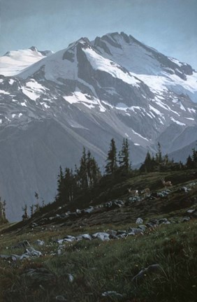 Framed Coast Range Print