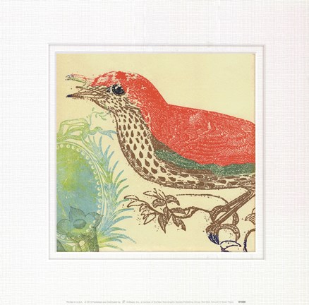 Framed Red Bird Print