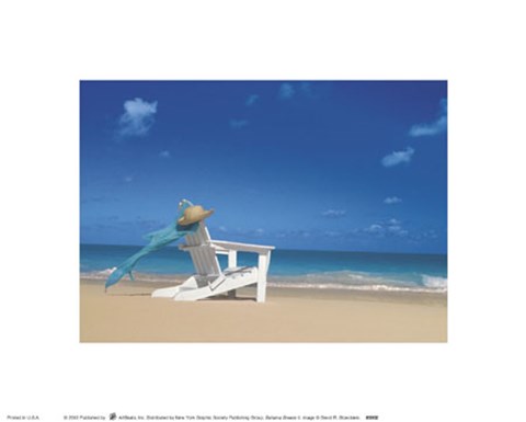 Framed Bahama Breeze II Print