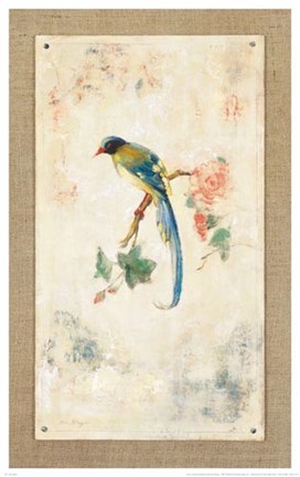 Framed Blue Magpie Print