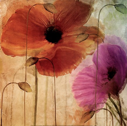 Framed Penchant For Poppies Print