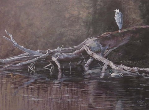 Framed Great Blue Print