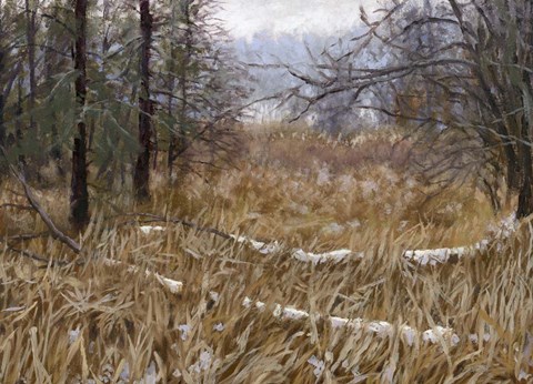 Framed Kensington Metro Park Trail Print