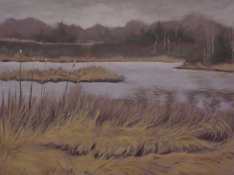 Framed Waiting For Spring Print