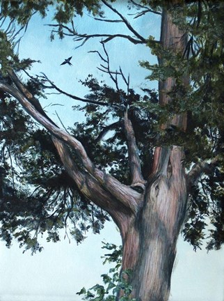 Framed Juniper Tree Print