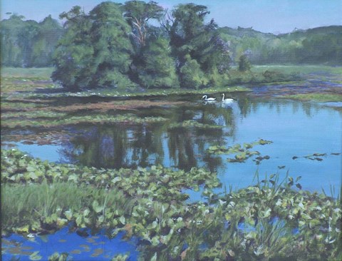 Framed Sunday Swans Print