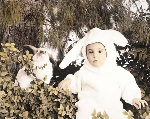 Framed Bunnies Print