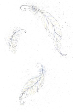 Framed Feathers Print