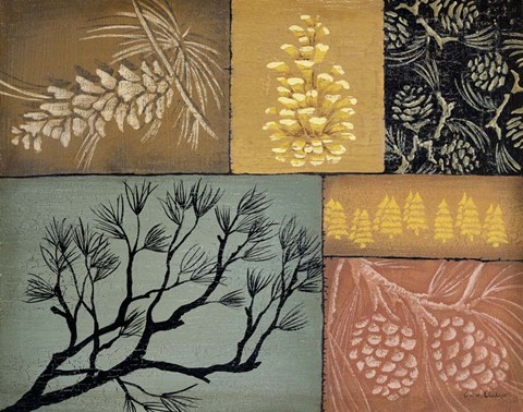 Framed Pine Cones 3 Print