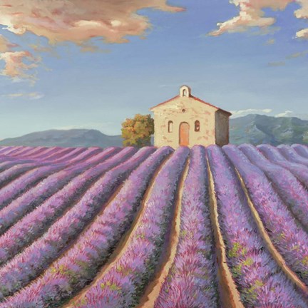 Framed Campi di Lavanda (Detail) Print