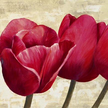 Framed Red Tulips (Detail) Print