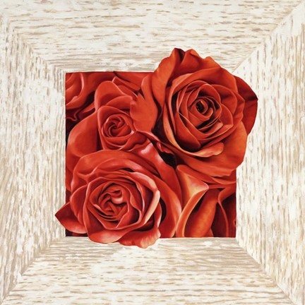 Framed French Roses I Print