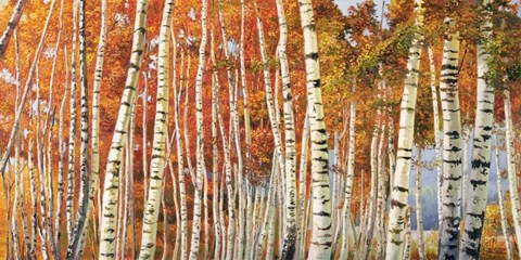 Framed Betulle d&#39;autunno Print