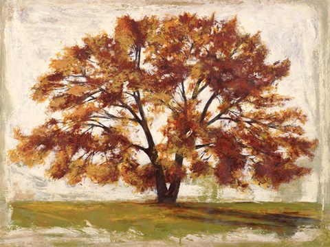 Framed Mattino Print