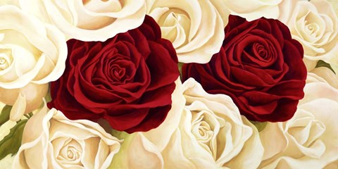 Framed Rose Composition Print