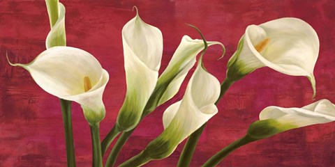 Framed Calle in Rosso Print