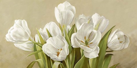 Framed Tulipani Bianchi Print