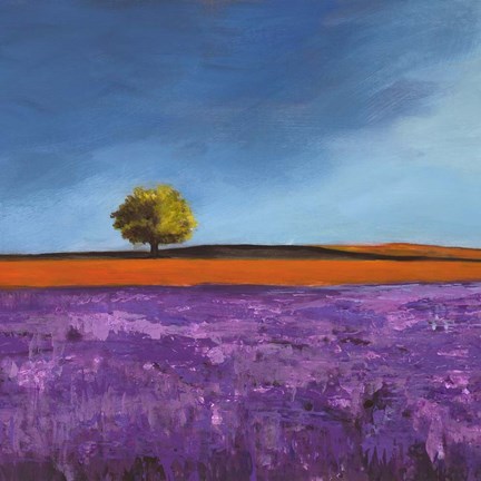 Framed Field of Lavender (Detail) Print
