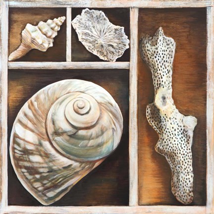 Framed From the Ocean IV Print