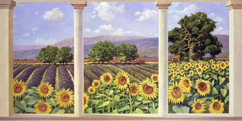 Framed Finestra sui Girasoli Print