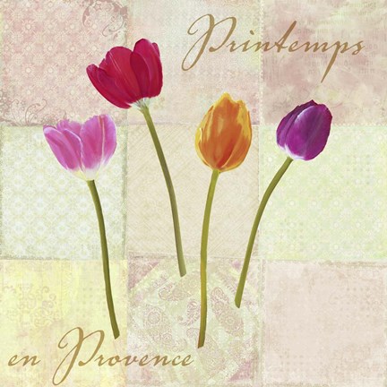 Framed Printemps en Provence Print