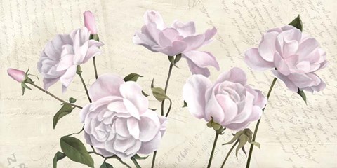 Framed Classica I Print