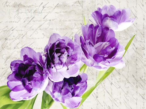 Framed Reverie Print