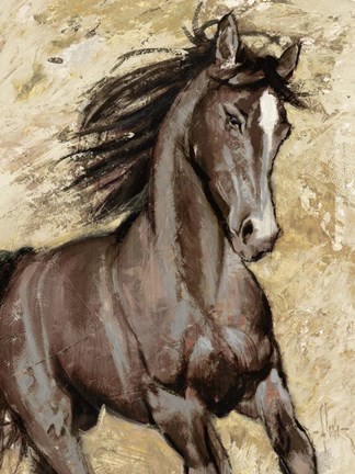 Framed Maestoso Print