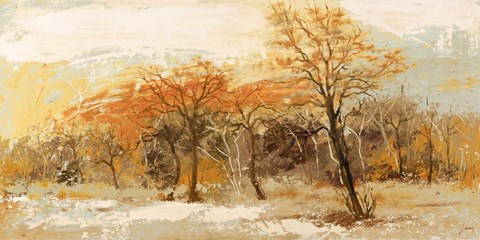 Framed Foresta I Print