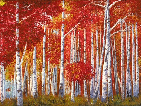 Framed Bosco di Betulle Print