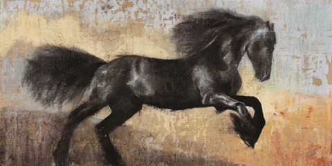 Framed Black Stallion Print