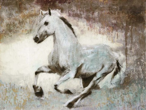 Framed White Star Print