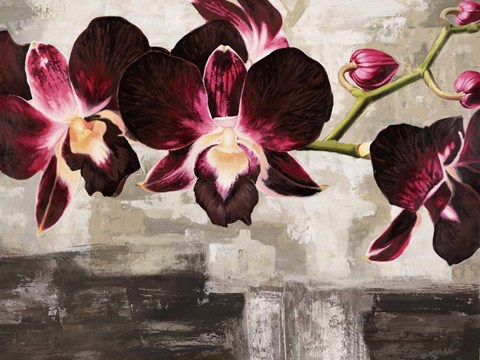Framed Velvet Orchids Print