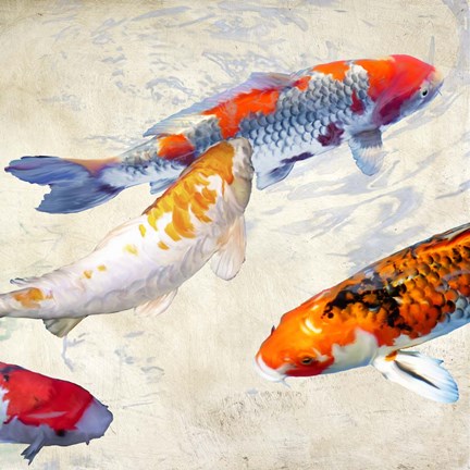 Framed Koi II Print