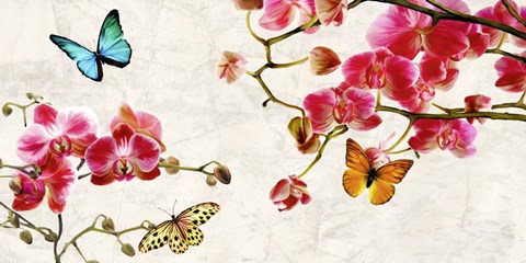 Framed Orchids &amp; Butterflies Print