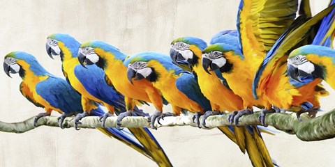 Framed Ara Parade Print