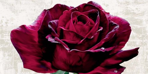 Framed Purple Dame Print