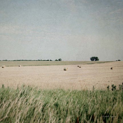 Framed Neutral Country II Print